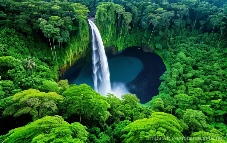 적도 기니의 유네스코 문화유산 목록 - **Lush Rainforest and Black Sand Beach of Ureka, Bioko Island:** A breathtaking, detailed panoramic ...